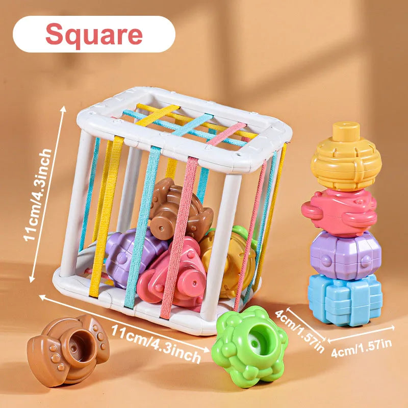 Montessori Baby Toys Stack Pull Blocks Games 0-12 Months Color Shade Sensory Development Learning Educational Toys Babies Infant
